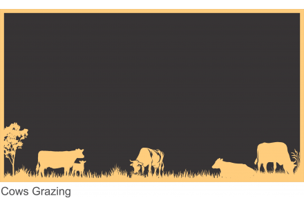 Cows Grazing