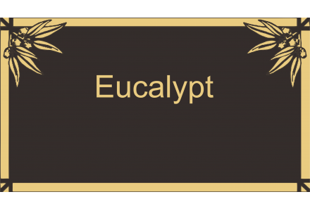 Eucalypt-border