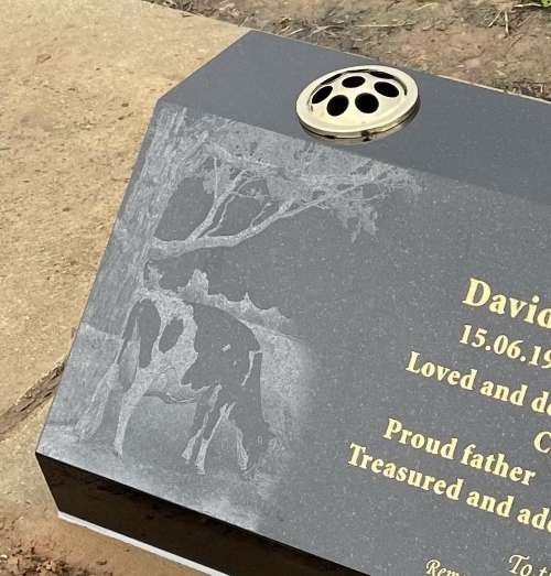 Cow and tree Laser Etched-Shanxi Black granite