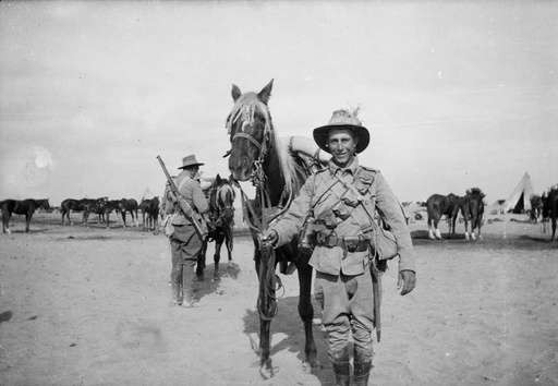 War Horses - Original client image