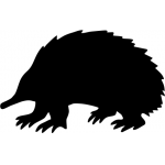 Echidna 1