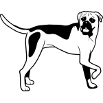 Boxer 2