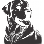 Lab Face