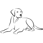 Labrador 2
