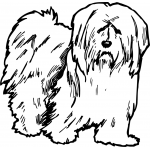 Terrier