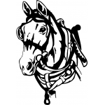 Clydesdale 1