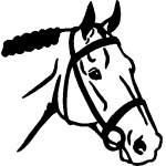 Horse 8