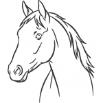 Horse Head 6