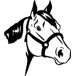 Horse head 1