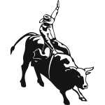 Cowboy and bull