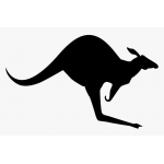 Kangaroo 2