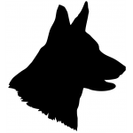 Kelpie 2