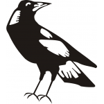 Magpie