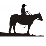 Rider