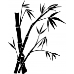 Bamboo solid