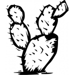 Cacti 2