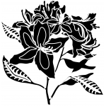 Azalea