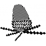 Banksia