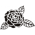 CAMELIA