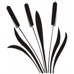 CATTAILS