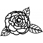 Camelia 2