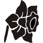 DAFFODIL 2