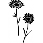 DAISY 3