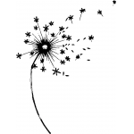 Flower Dandilion 1