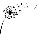 Flower Dandilion 3