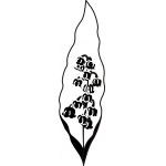 Lily of the Valley 2