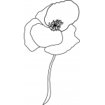 POPPY 3