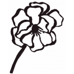 POPPY
