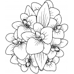 Singapore Orchid 21