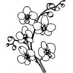 Singapore Orchid branch