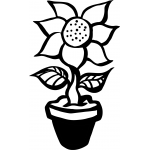 Sunflower 2