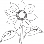 Sunflower 4