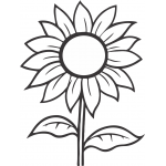 Sunflower 5