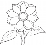 Sunflower 6