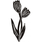 Tulip 2