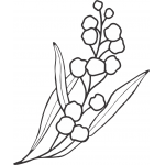 Wattle Sprig 2