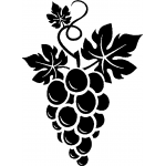 Grape 5
