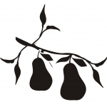 Pear 2