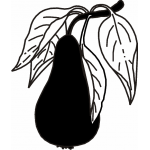 Pear