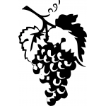 Wine Grapes