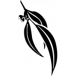 Gumleaf 2