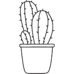 Cactus 1