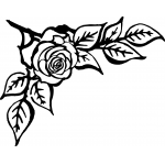 Corner Rose 2