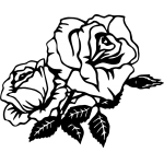 Double Rose 2