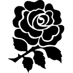 English Rose