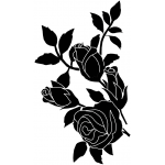 ROSE 10